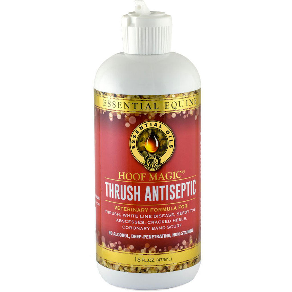 Hoof Magic Thrush Antiseptic (16 OZ)