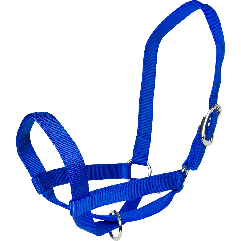 Gatsby Nylon Cattle Halter (BLUE, MD)