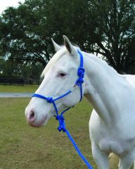 Hamilton Adult Rope Halter W/Lead (BLUE, AVG)