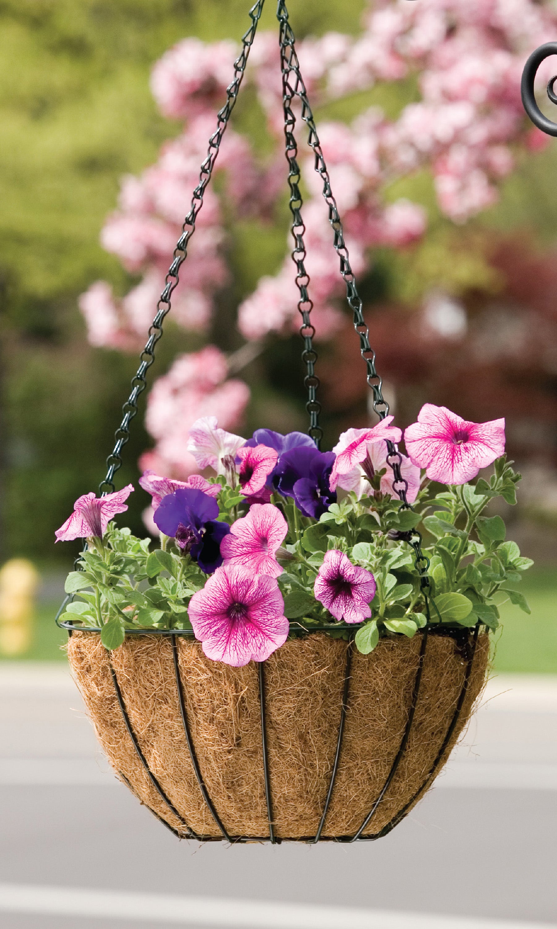 Growers Hanging Basket W/Coco Liner (BLACK, 14 IN)