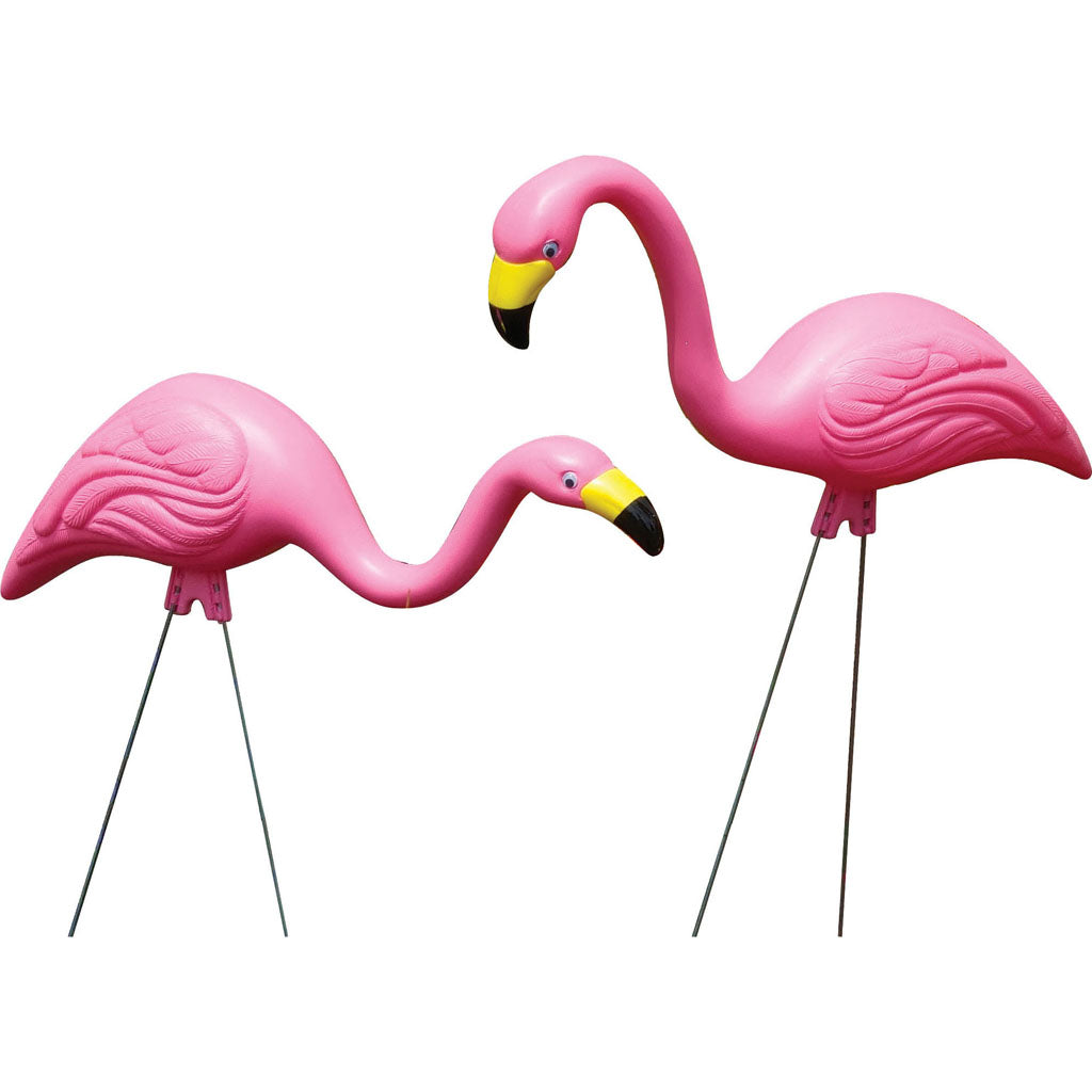 Bloem Pink Flamingo (LG-2 PK)