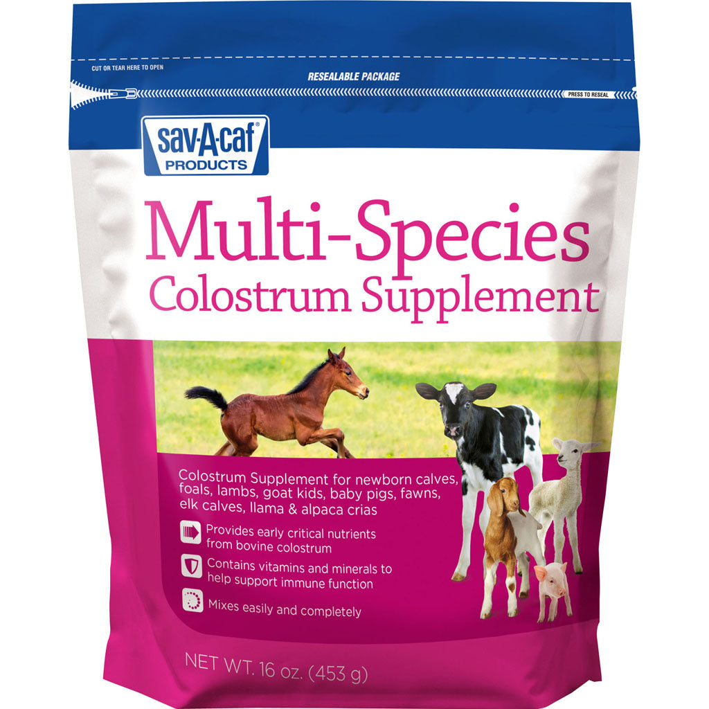 Ultra Start Multi-Species Colostrum Supplement (16 OZ)