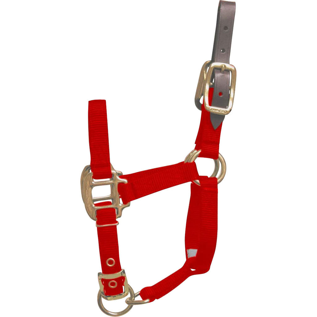 Hamilton Adjustable Halter W/Leather Headpole (RED, FOAL)
