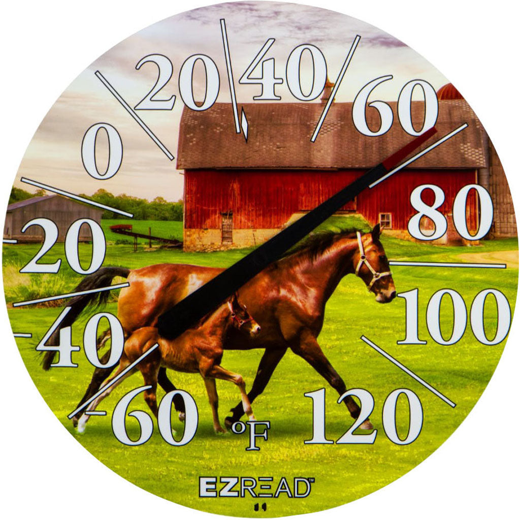 Ezread Indoor/Outdoor Dial Thermometer (HORSE/FOAL, 12.5 IN)