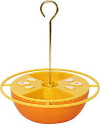 Citrus Buffet Oriole Feeder (ORANGE, 6 OZ)