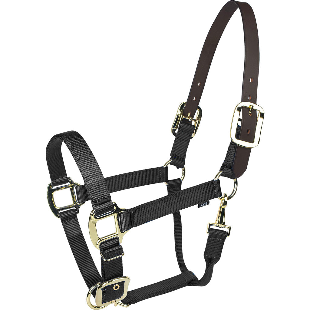 Gatsby Gold Nylon Breakaway Halter (BLACK, OVERSIZE)