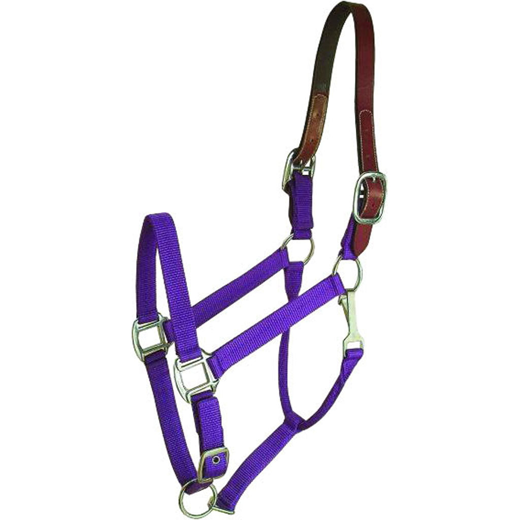 Gatsby Nylon Breakaway Halter (PURPLE, COB)