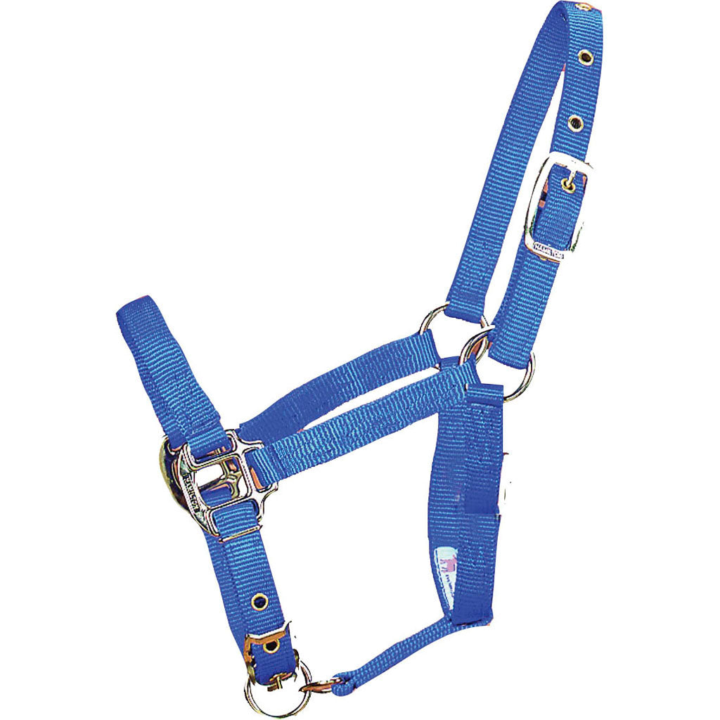 Hamilton Adjustable Chin Halter W/Snap (BLUE, FOAL)