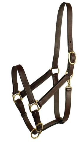 Gatsby Leather Adjustable Turnout Halter (HAVANA, YEARLING)