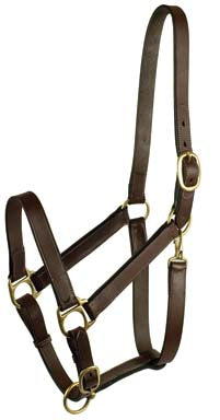 Gatsby Leather Adjustable Turnout Halter W/Snap (HAVANA, YEARLING)