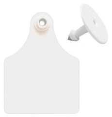 Ear Tag Blank (WHITE, MAXI)