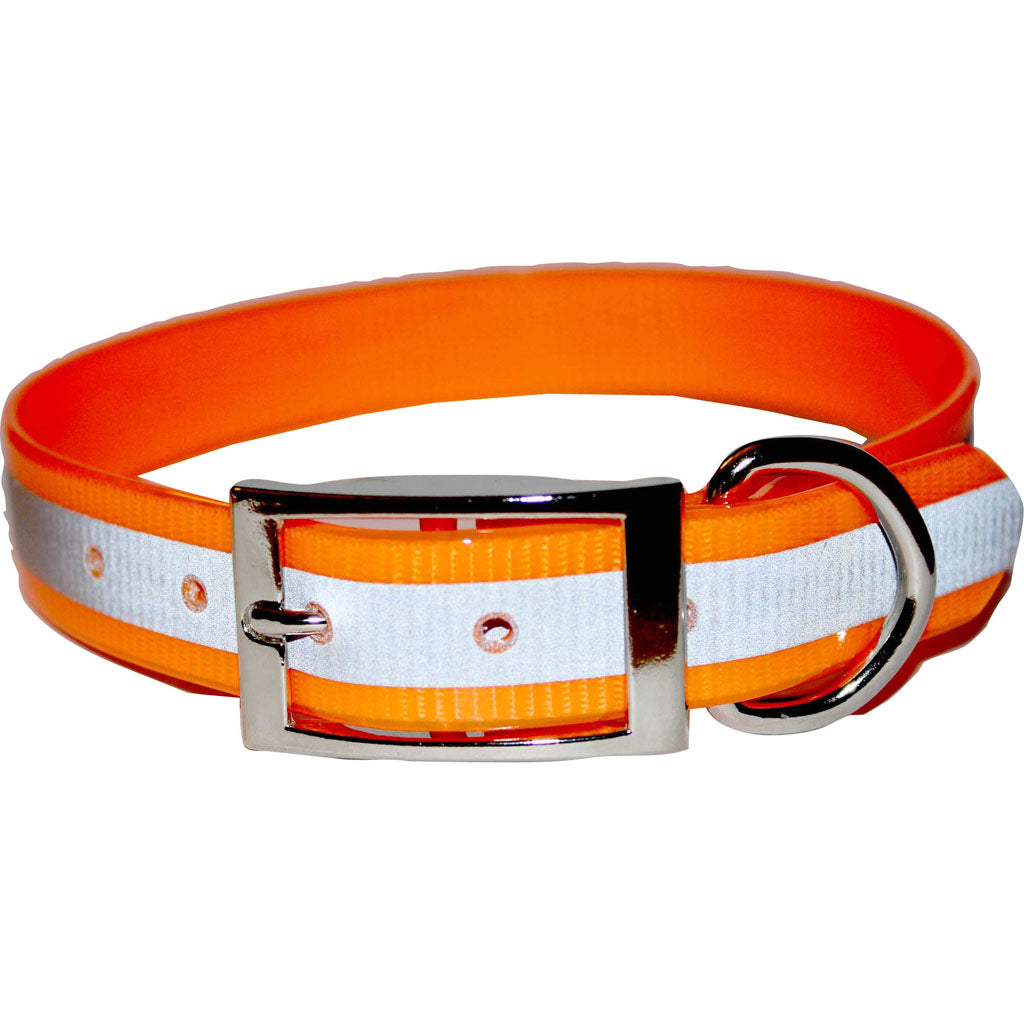 Sunglo Reflective Dog Collar (ORANGE, 1 X 25 IN) [048196]