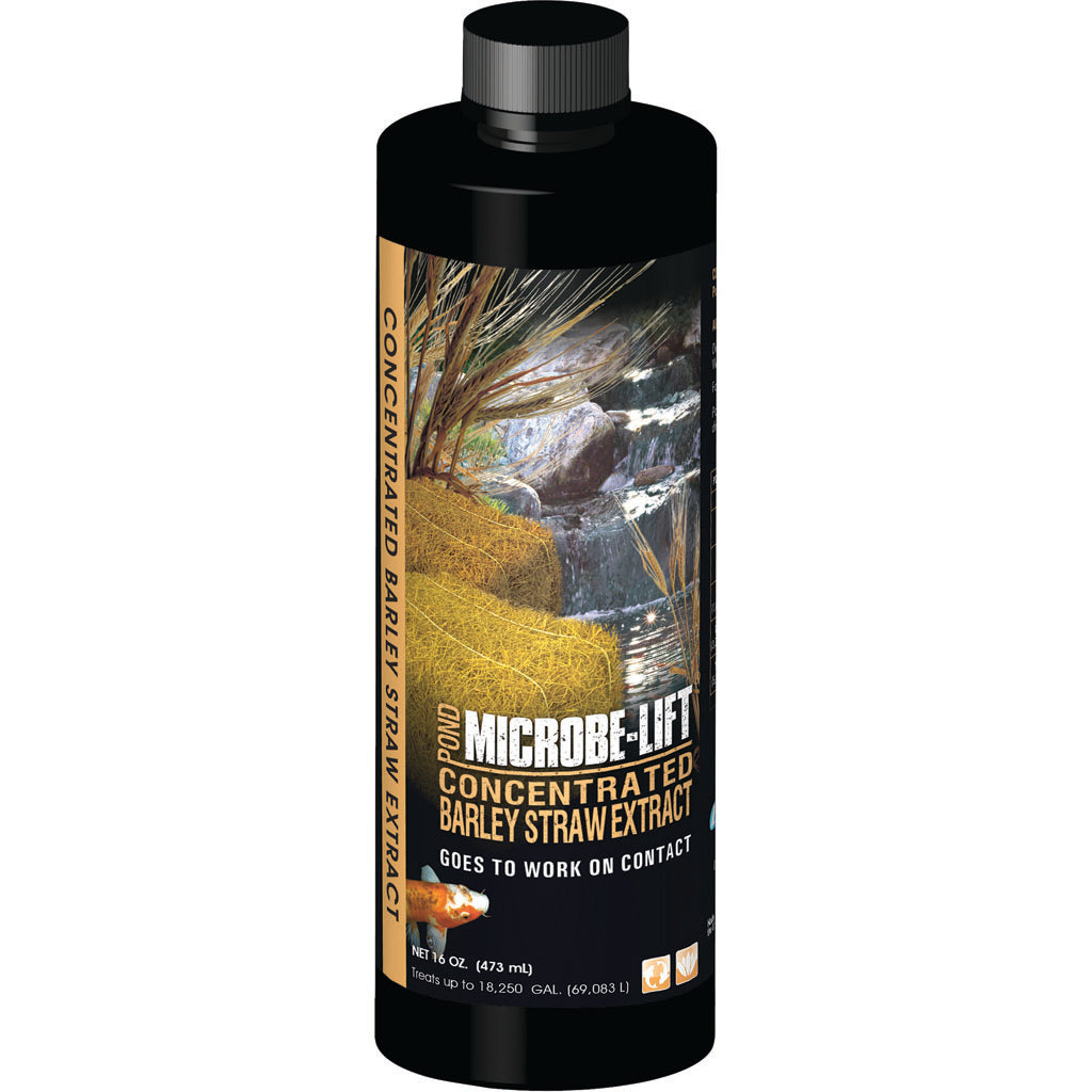 Microbe-Lift Barley Straw Concentrate Extract (16 OZ)