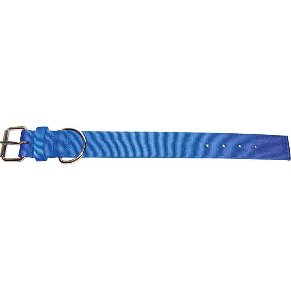 Bravo 2 Ply Nylon Dog Collar (BLUE, 2 X 29 IN)