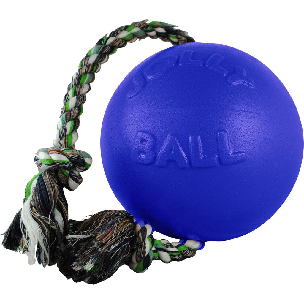 Jolly Pets Romp-N-Roll Ball (BLUE, LG)