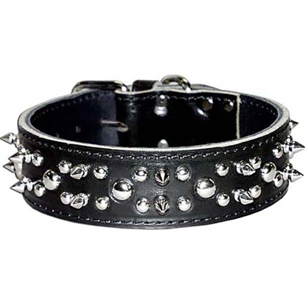 Latigo Leather Spike/Stud Dog Collar (BLACK, 1.75X24IN)