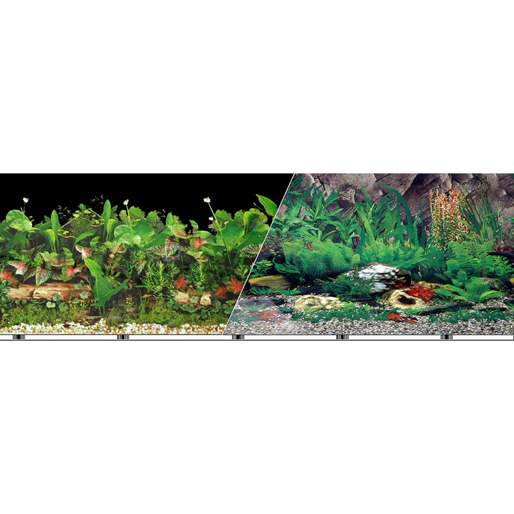 Double-Sided Tropical/Freshwater Background (12 IN X 50 FT)
