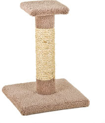 Kitty Cactus W/Sisal & Top (13X13X18 IN)