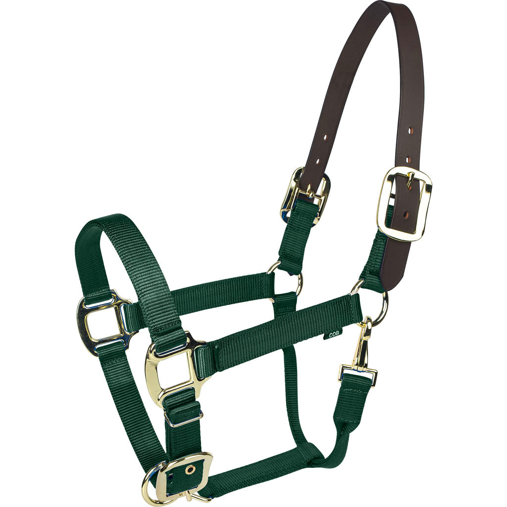 Gatsby Gold Nylon Breakaway Halter (HUNTER GREEN, OVERSIZE)