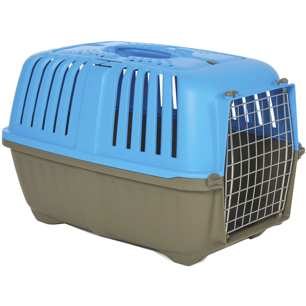 Spree Travel Carrier (BLUE, 24 IN)