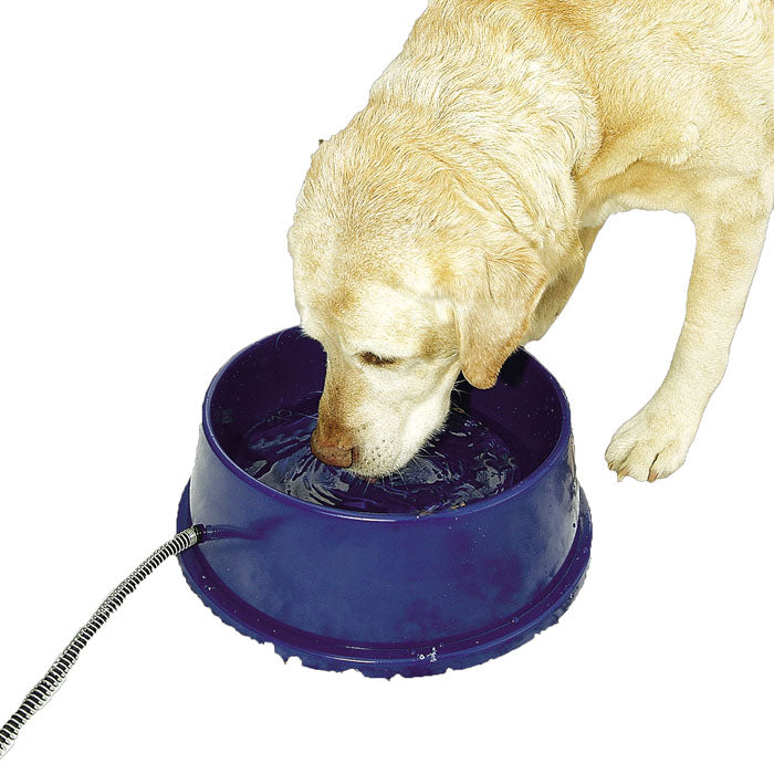 K&H Thermal Bowl Heated Pet Bowl (BLUE, 96 OZ)
