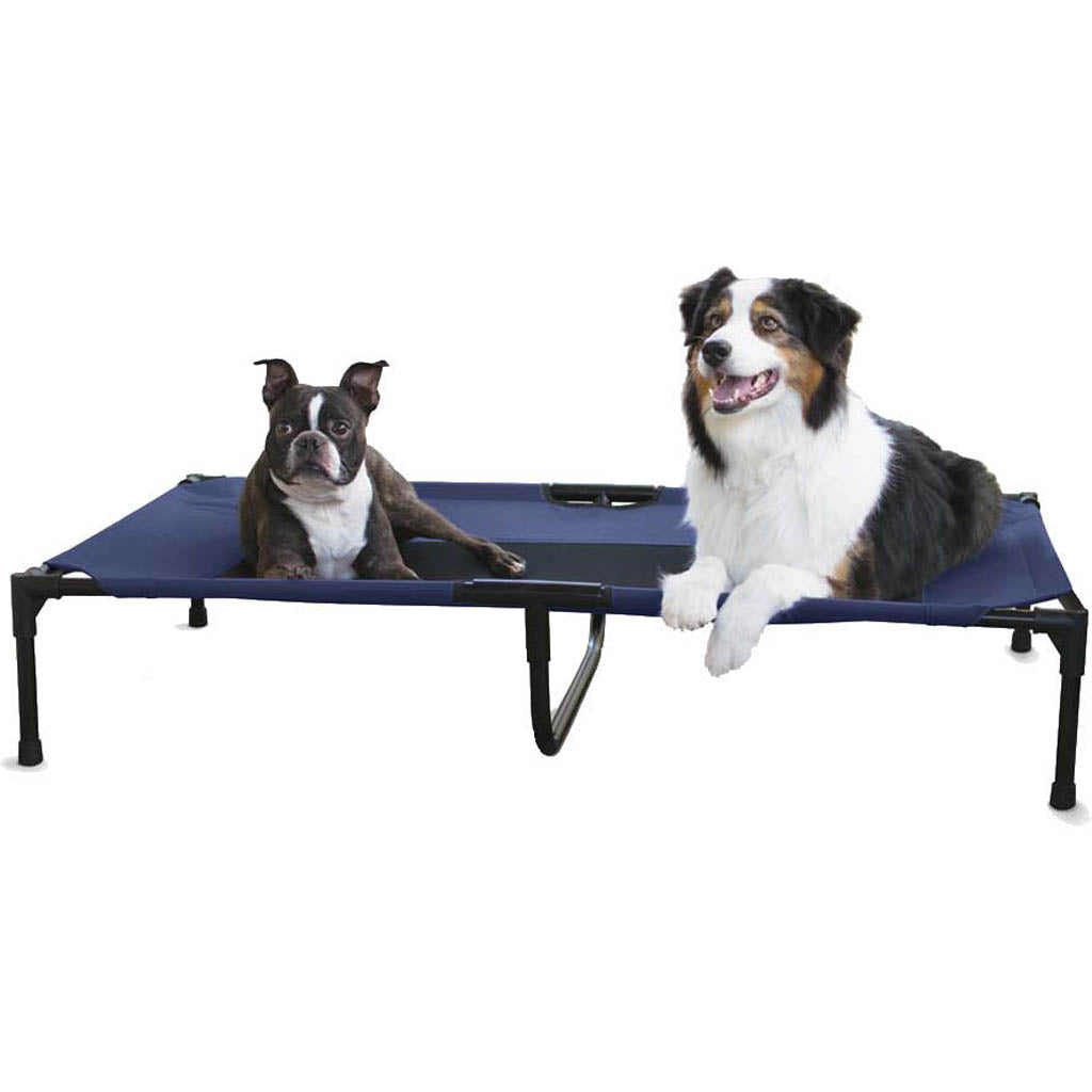 Creative Solutions Elevated Pet Bed (BLUE, XL-32X50 IN)
