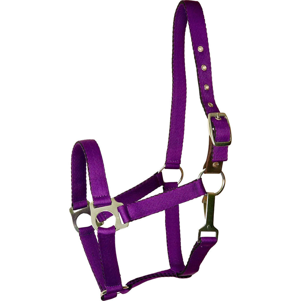 Gatsby Ultra Soft Nylon Safety Halter (PURPLE, COB)