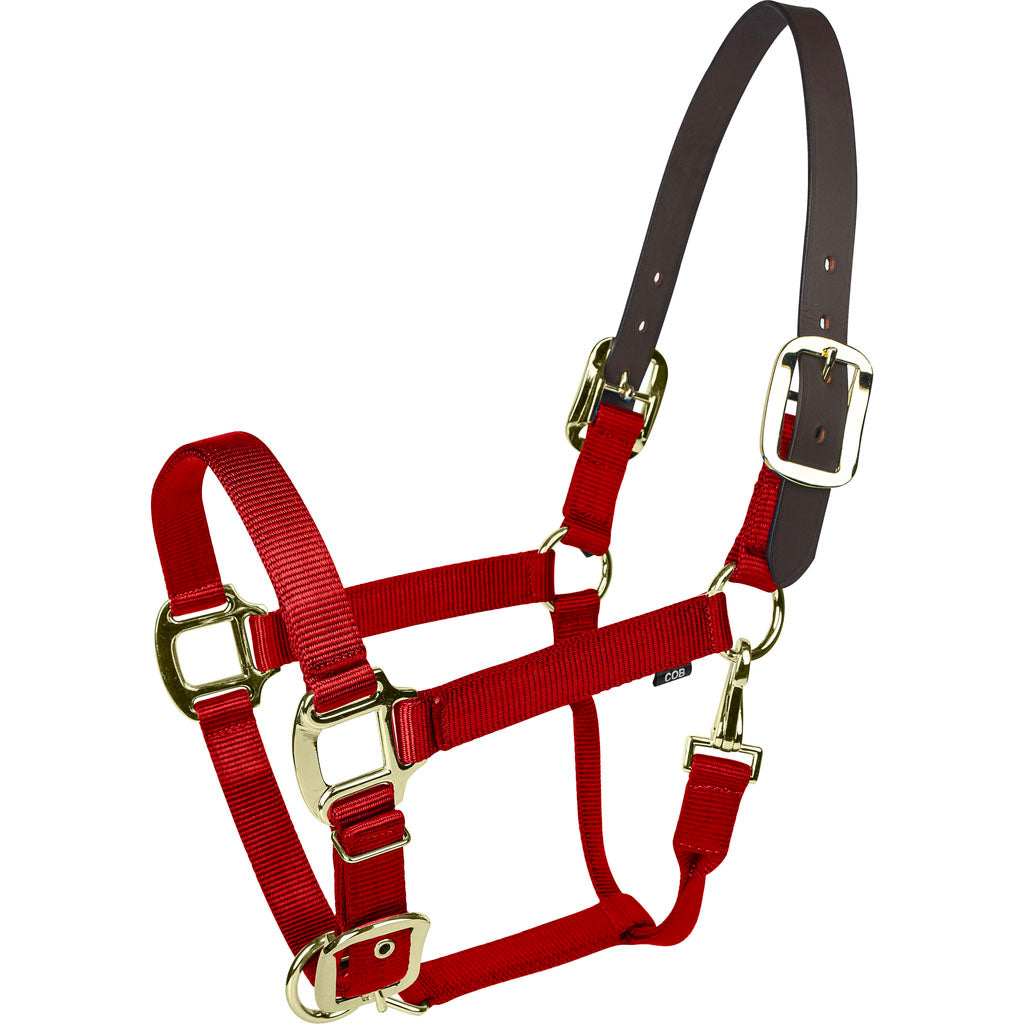 Gatsby Gold Nylon Breakaway Halter (RED, COB)