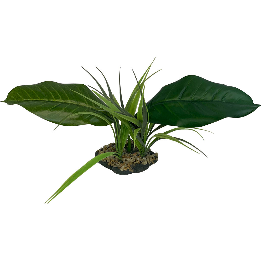 Komodo Woodland Canopy Plant (NATURAL, MD)