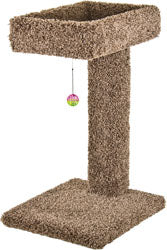 Kitty Cactus W/Toy (15X17X28 IN)