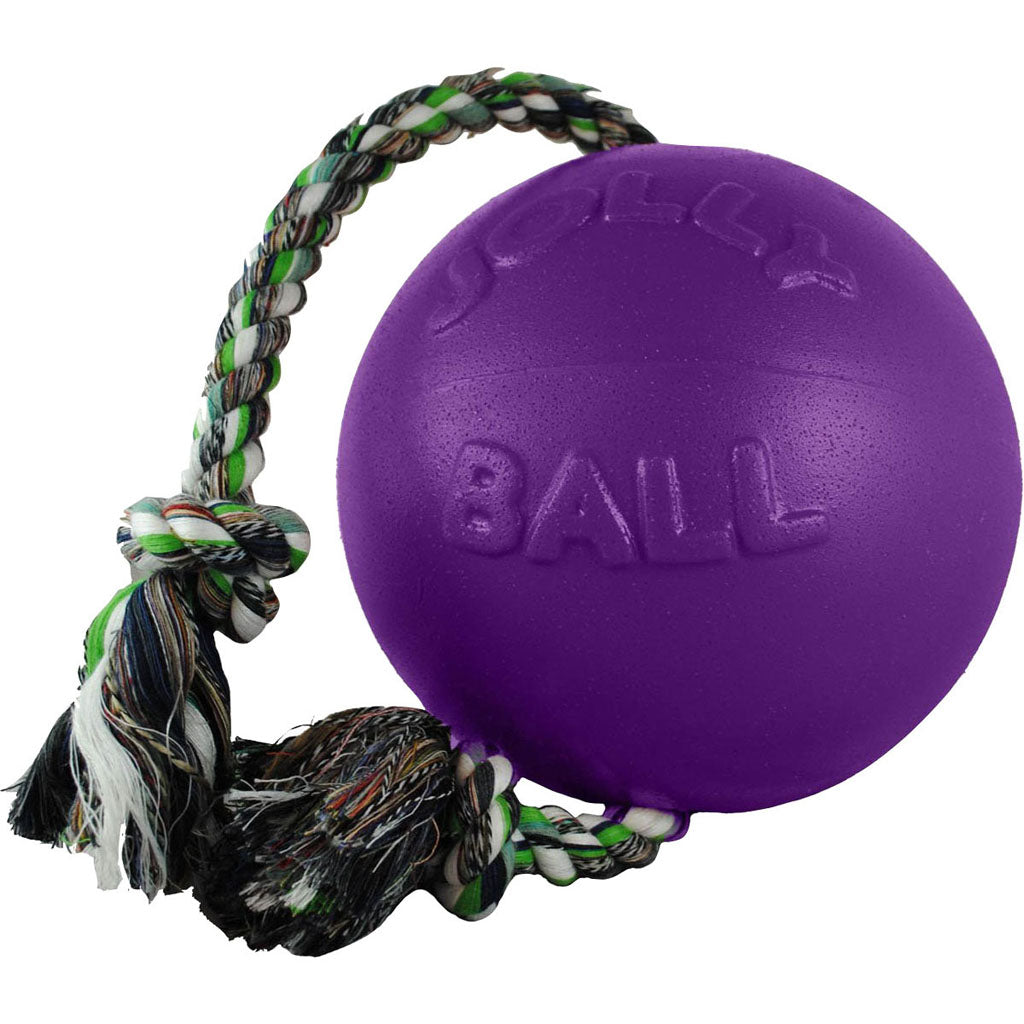 Jolly Pets Romp-N-Roll Ball (PURPLE, LG)