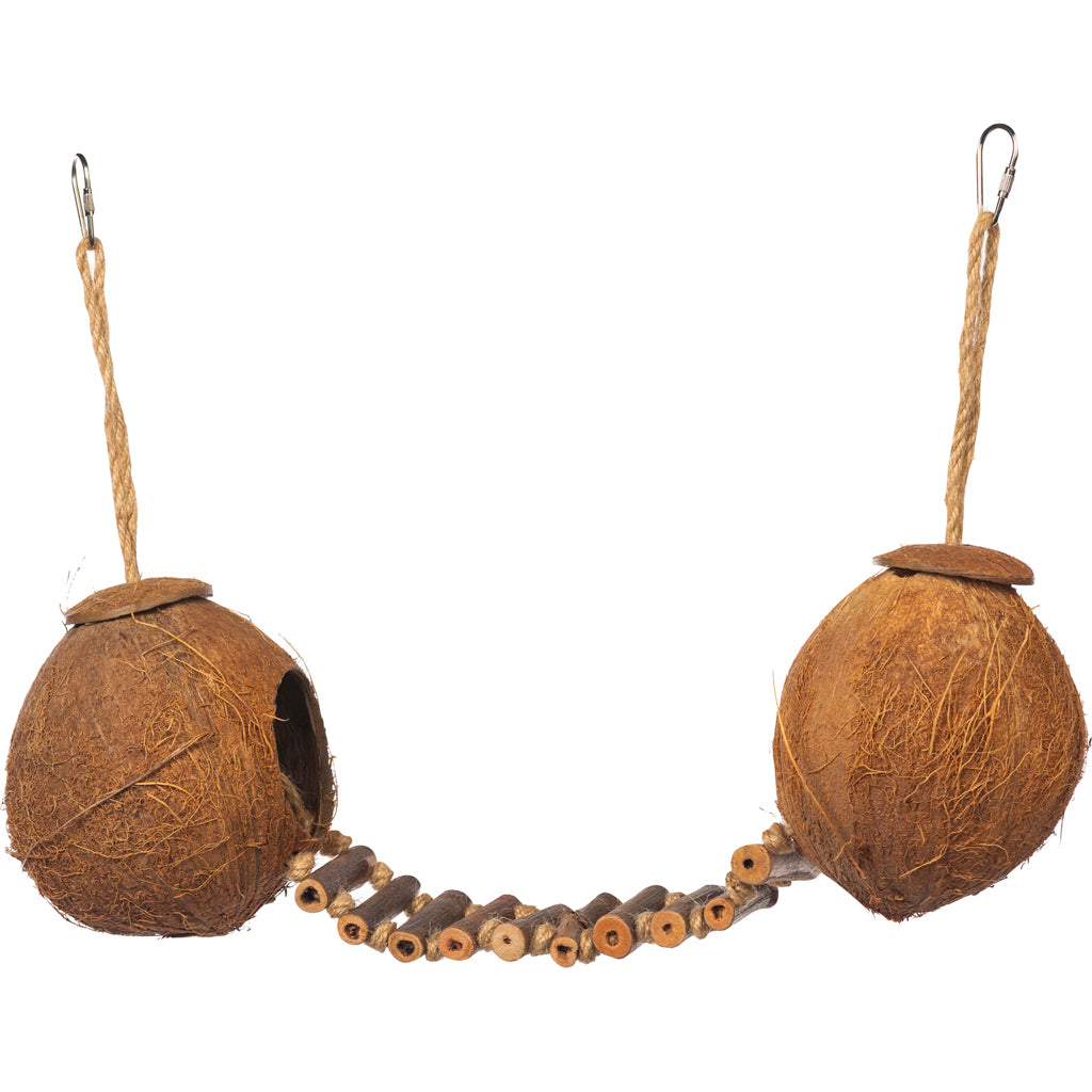 Double Coconut W/Ladder (16X14X9 IN)