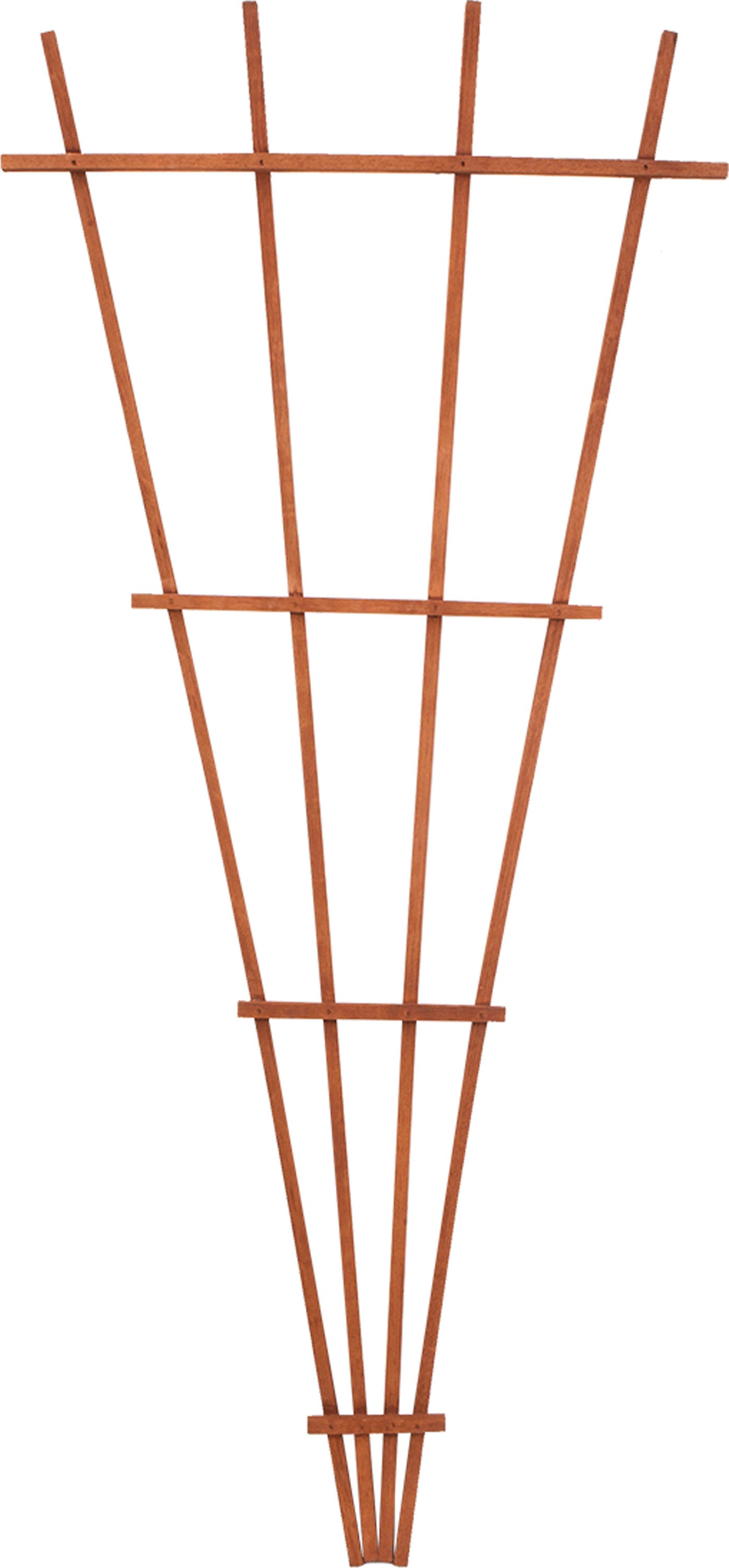 Wood Fan Garden Trellis (BROWN, 72 IN)