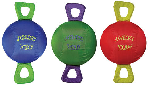 Jolly Pets Tug (ASSORTED, LG)