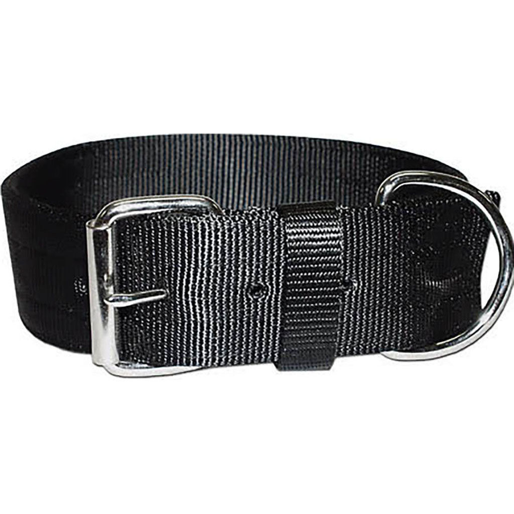 Bravo 2 Ply Nylon Dog Collar (BLACK, 2 X 23 IN)