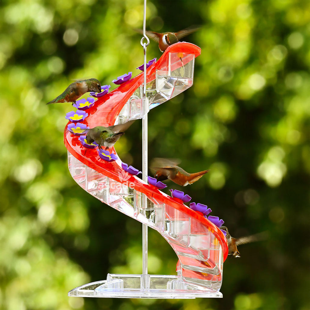 Cascade Helix Hummingbird Feeder