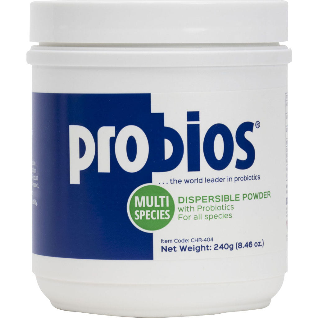 Probios Dispersible Powder Multi-Species (240 GM)