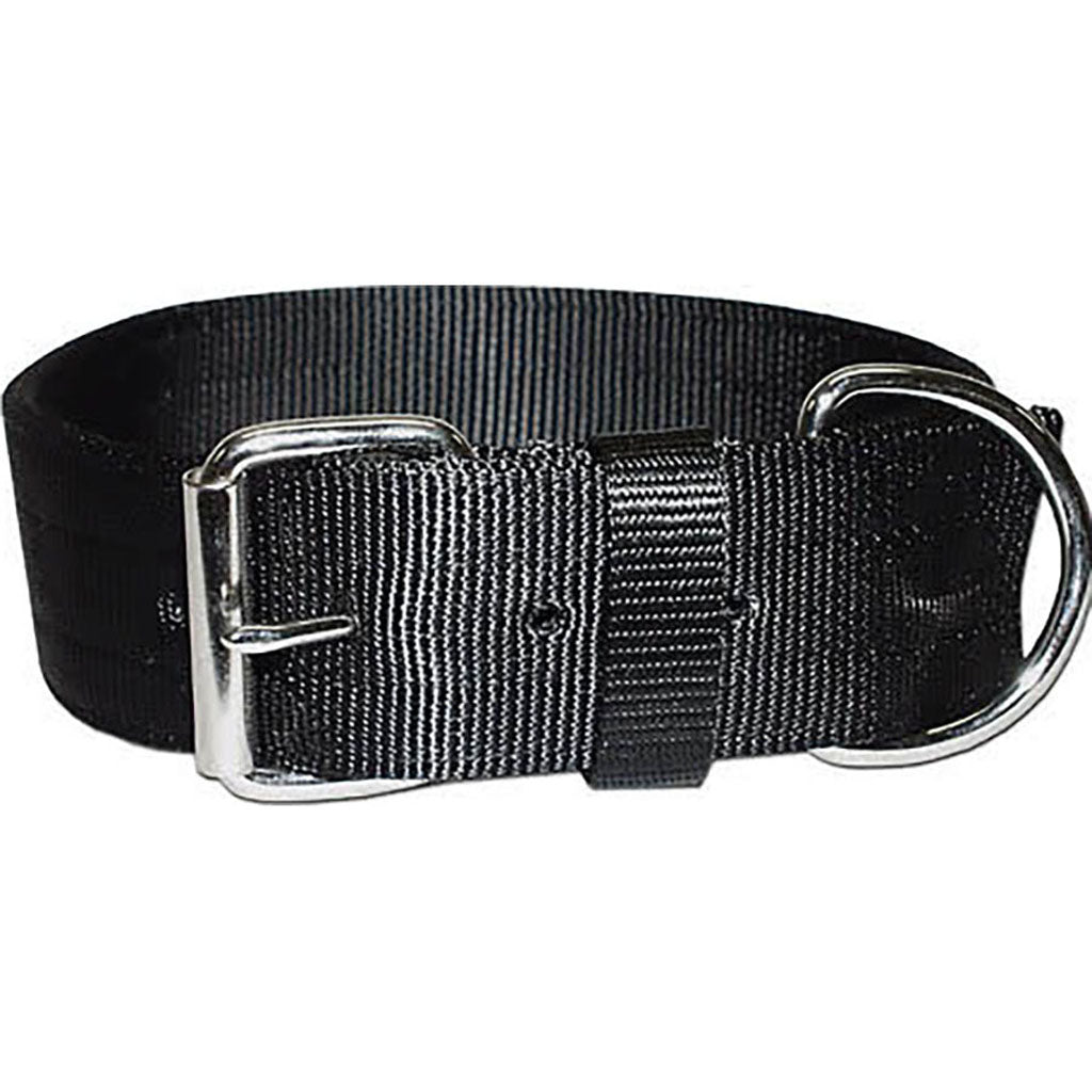 Bravo 2 Ply Nylon Dog Collar (BLACK, 2 X 27 IN)
