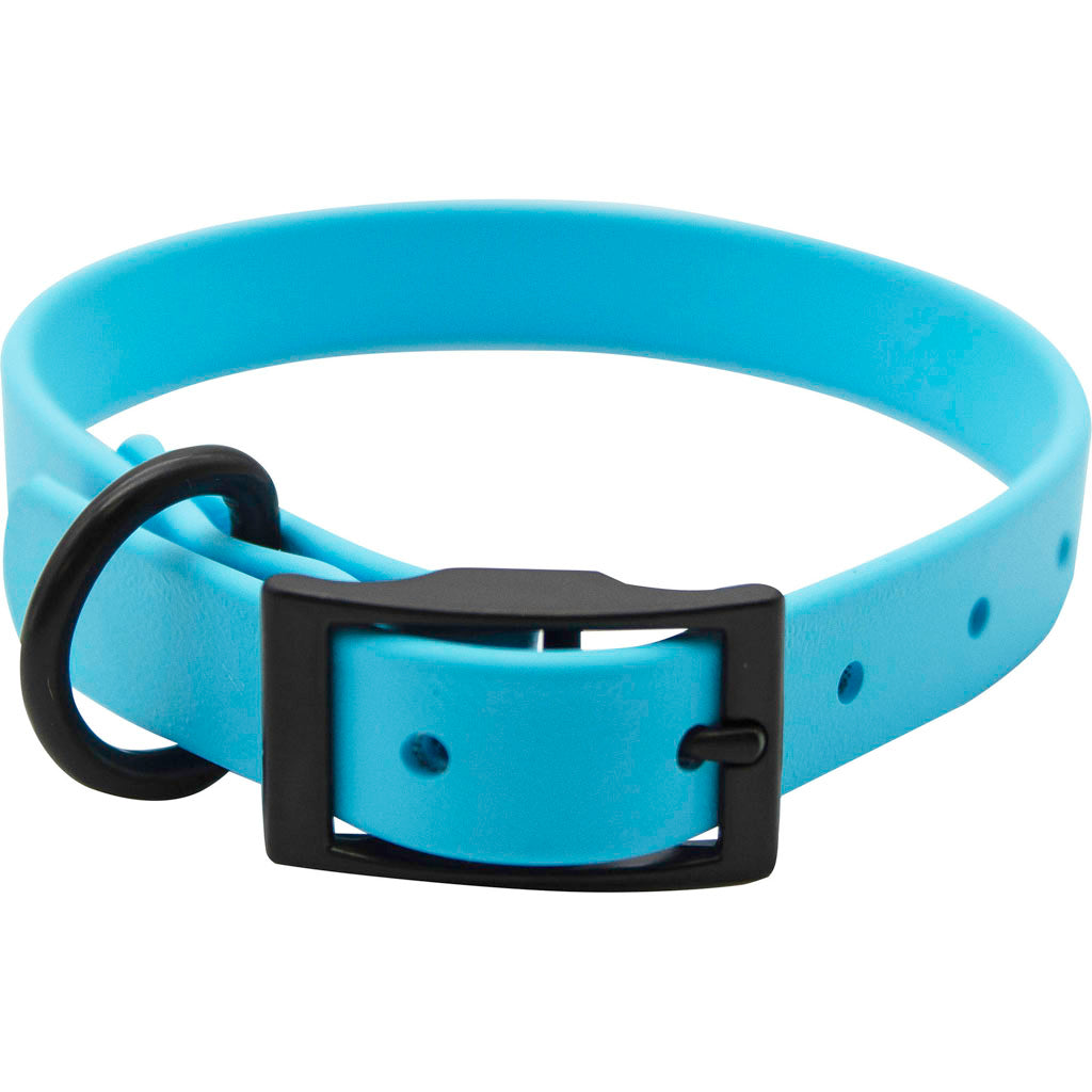 Zeta Biothane Dog Collar W/ Blk Hardware (LIGHT BLUE, 1 X 22 IN)