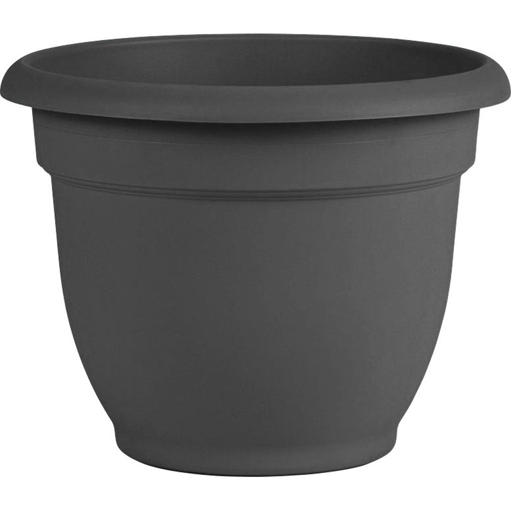 Bloem Ariana Planter (CHARCOAL, 12 IN)