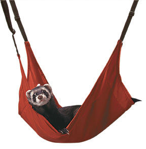 Marshall Ferret Leisure Lounge (21X16 IN)