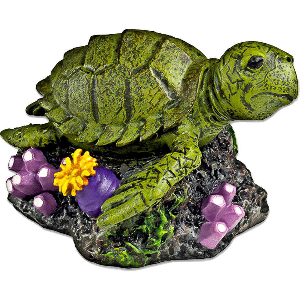 Exotic Environments Sea Turtle (GREEN, SM)