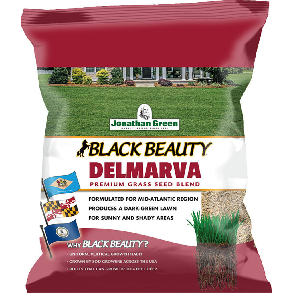 Black Beauty Delmarva Grass Seed Mixture (3 LB)