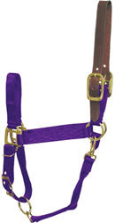 Hamilton Adjustable Halter W/Leather Headpole (PURPLE, SM)