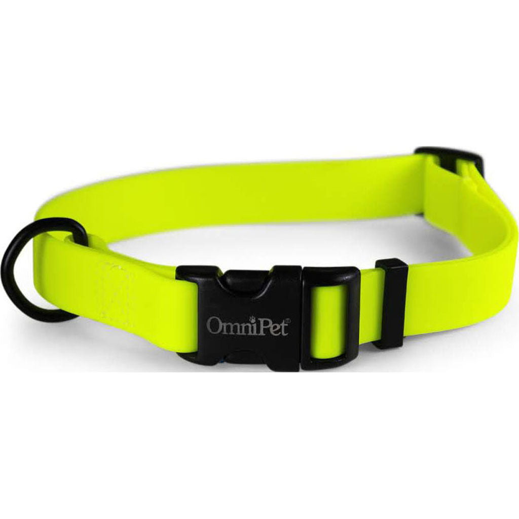Carnival Biothane Dog Collar (NEON YELLOW, 3/4 X 14 X 20 I)