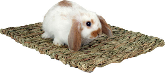 Marshall Woven Grass Mat (13.5X10.5 IN)