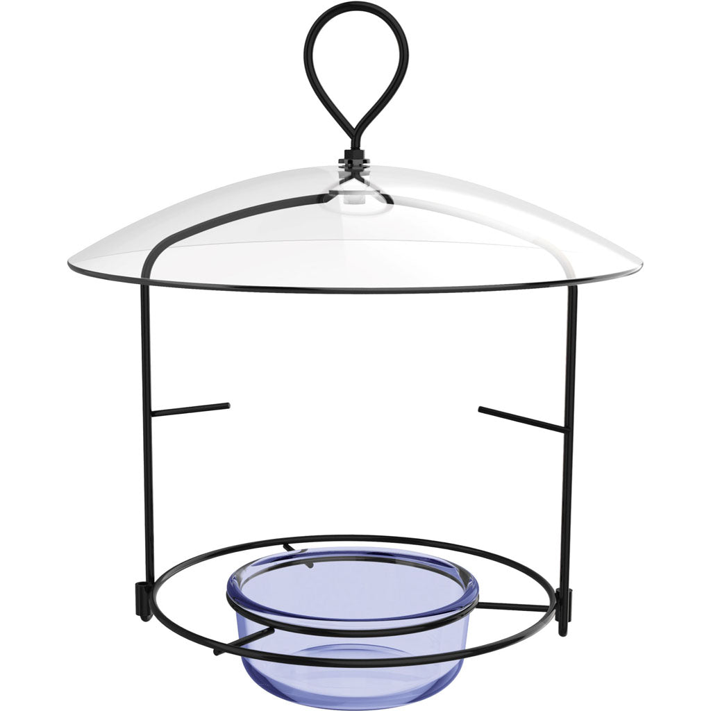 Bluebird Buffet (BLUE, 6 OZ CAP)