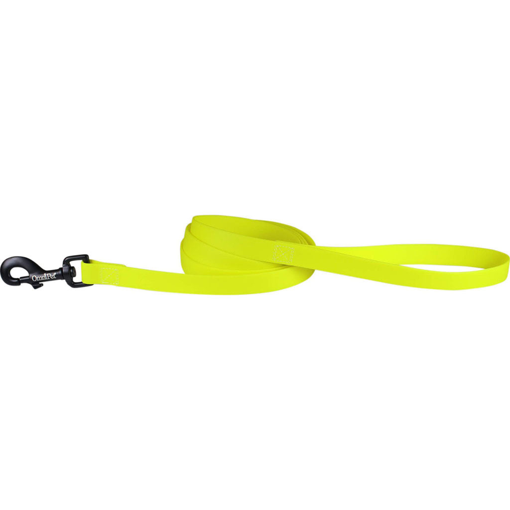 Carnival Biothane Dog Lead (NEON YELLOW, 3/4 IN X 6 FT)