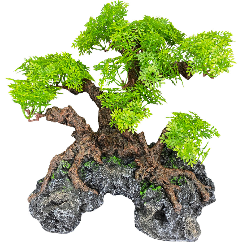 Komodo Bonsai Tree With Hide (DARK GREEN, 11.4X8.07X10.23)