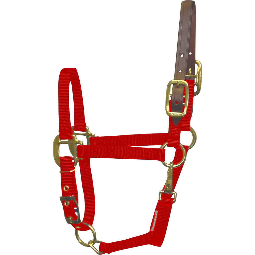 Hamilton Adjustable Halter W/Leather Headpole (RED, PONY)